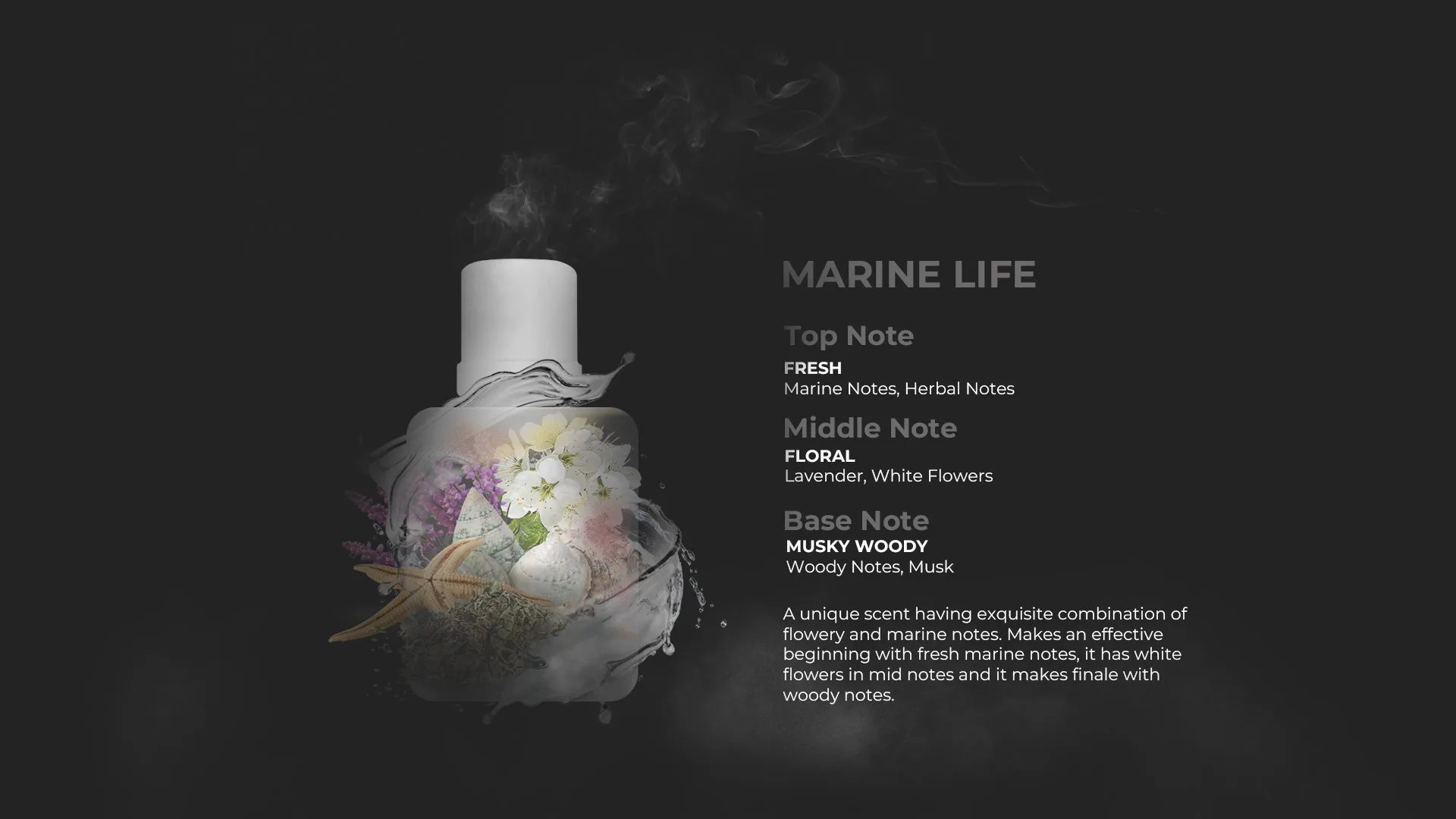Marinoe Life